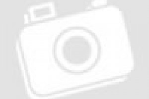 9 Mini Fairy Garden Ideas Appreciation